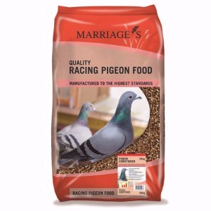 pigeon food pets at home