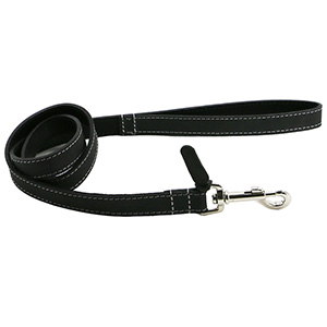 dog leash pets at home