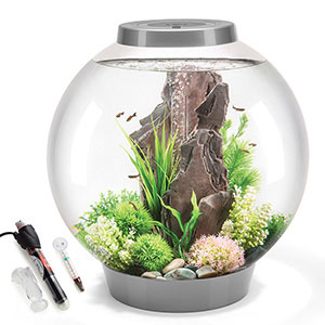 45 gallon hexagon : r/Aquariums