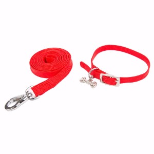 puppy collar and lead