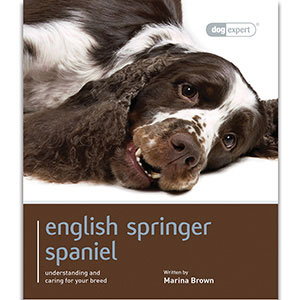Magnet And Steel English Springer Spaniel Dog Expert Book By Marina Brown
