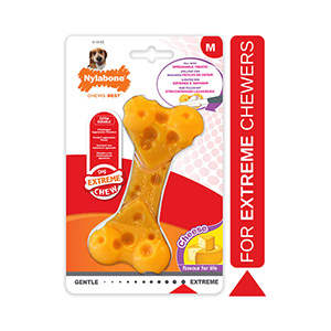 Pets at hot sale home nylabone