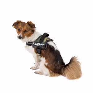 Doe een poging Praten helemaal Julius-K9 Powerharness Dog Harness Size S/Mini Camouflage | Pets At Home