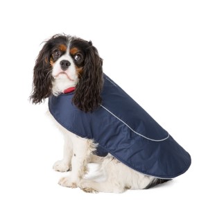 pets at home dog coats