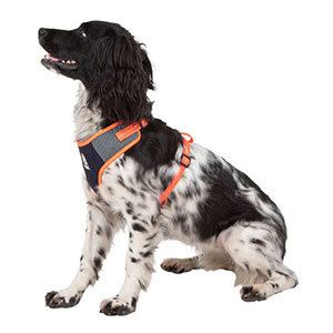 front fastening dog harness pets at home