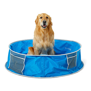 Dog pool pets cheap at home