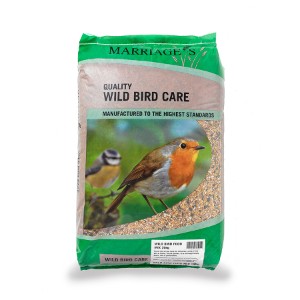 bird feed pets at home