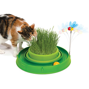 Vitakraft Cat Grass Pets At Home