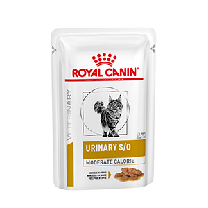 Royal canin gi clearance high energy cat food