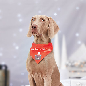 dog bandanas pets at home