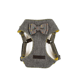 wainwrights puppy harness