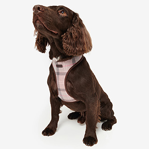 barbour pink tartan dog harness