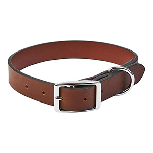 Rolled leather dog collar pets sale at home