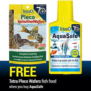 TETRA Aquasafe - Family Pet Centre