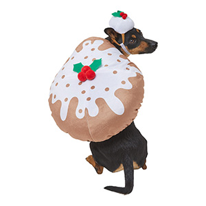 pets at home snowman outfit