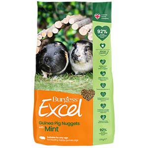 pets at home burgess excel