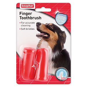 Indigo 2024 dog toothbrush