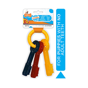 Nylabone Puppy Chew Teething Keys 