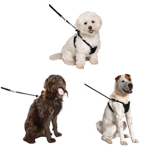 dog harnesses at pets at home
