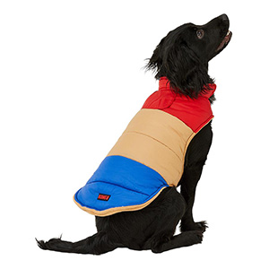 wag a tude dog coat