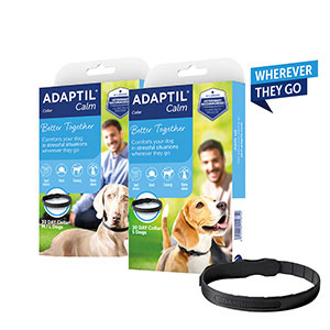 adaptil collar pets at home