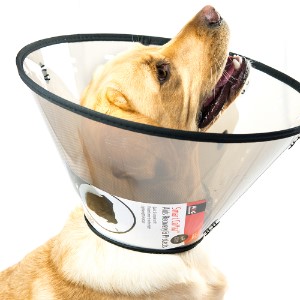 Elizabethan Smart Dog Collar | Pets At Home