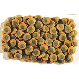 tetra pleco spirulina wafers