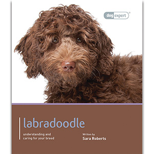 Story book sale australian labradoodles