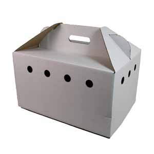 cat carrier box