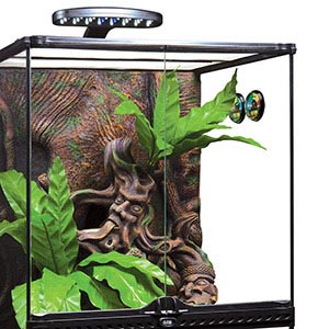 Pet Owners Find Temperature Gun Helps Maintain a Healthy Reptile Enclosure  - ennoLogic