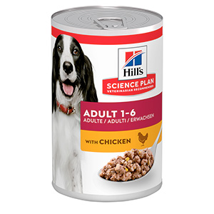 hills dog food online