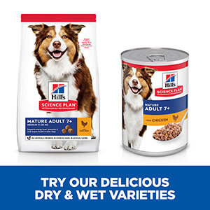 hills science plan mature wet dog food