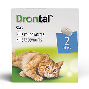 Drontal Worming Tablets for Cats 2 Pack 