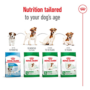 Royal canin 2024 mini 2kg