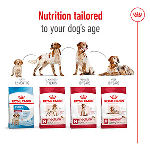 Royal canin hotsell fit 15kg