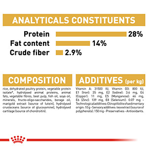 Royal canin dachshund outlet dry food