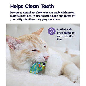 Petstages Catnip Chew Mice Dental