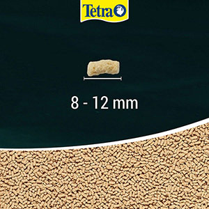 Tetra® TetraPond Goldfish and Koi Pond Sticks, fish Pond Care, PetSmart