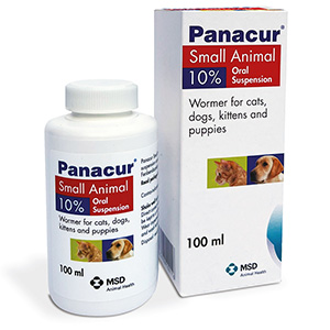 Panacur Worming Syrup 10% for Cats, Kittens, Dogs & Puppies 100ml (Home ...