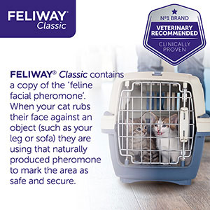 Feliway Spray - Classic Natural Pheromone