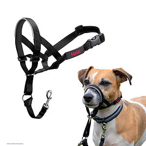  Dog Head Collar, No Pull Soft Head Halter with Safety Clip for  Heavy Pullers, Durable Dog Training Halter Stops Pulling for Walking Medium  Large Dogs : Pet Supplies