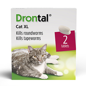 drontal feline side effects