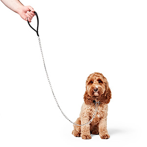 Pets at home dog clearance lead