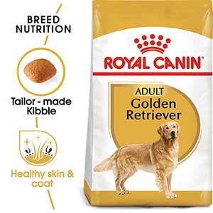 Royal canin golden retriever cheap adult dry dog food