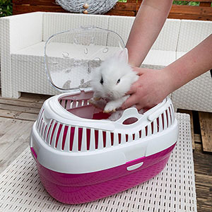 Life's furtastic clearance small animal carrier