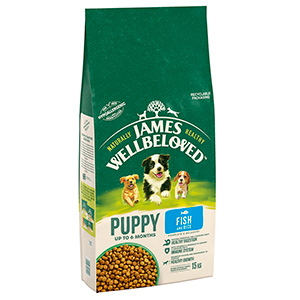 home made dog food for older dogs