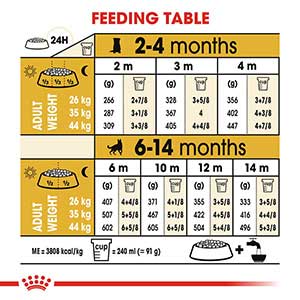 Royal canin giant outlet puppy feeding chart