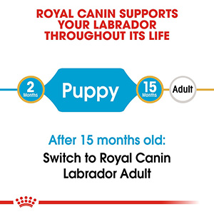 Royal canin labrador clearance retriever junior 12 kg