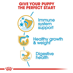 Royal Canin Labrador Puppy Feeding Chart
