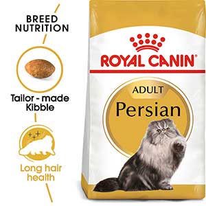 Persian cat hotsell food at home